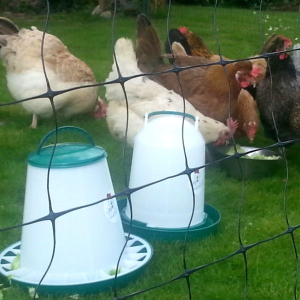 Unser Zaun für eure Hühner, Hühnerzaun oder Geflügelzaun.